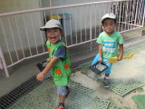 img0015.jpg