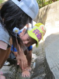 img0019.jpg