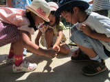 img0024.jpg