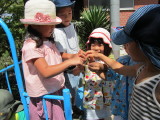 img0026.jpg