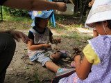 img0035.jpg
