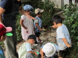 img0036.jpg