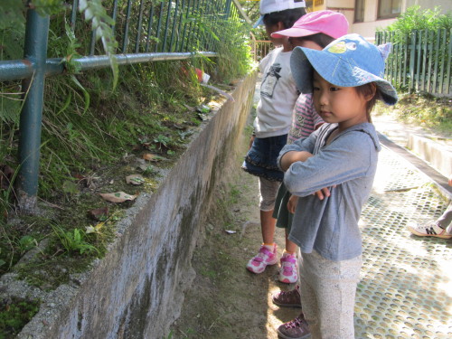 img0042.jpg