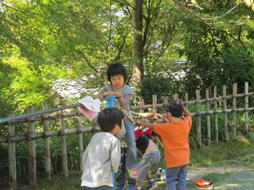 img0051.jpg