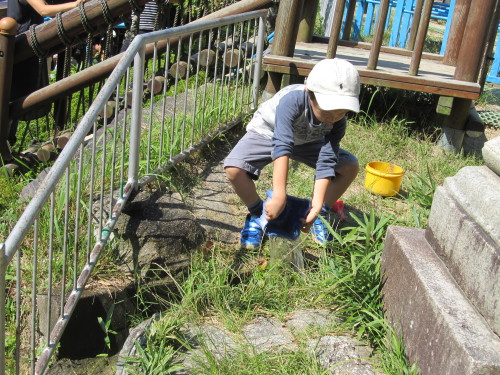img0053.jpg
