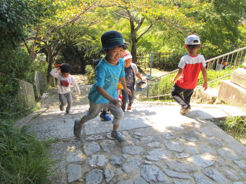img0067.jpg