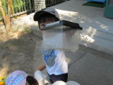 img0035.jpg