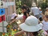 img0036.jpg