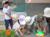 img0037.jpg