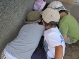 img0039.jpg