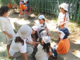 img0041.jpg