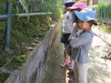 img0042.jpg