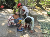 img0052.jpg