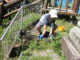 img0053.jpg