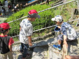 img0057.jpg