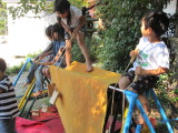 img0061.jpg