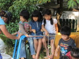 img0062.jpg