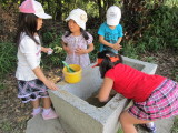 img0065.jpg