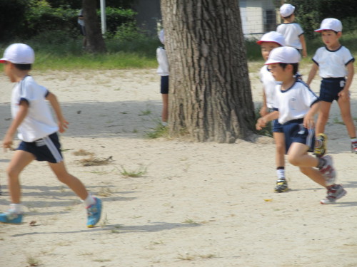 img0002.jpg