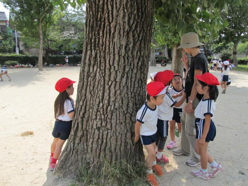 img0005.jpg