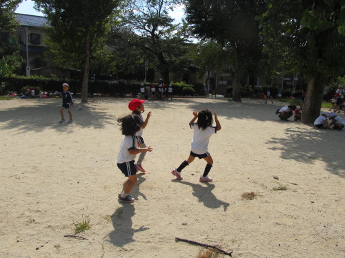img0006.jpg