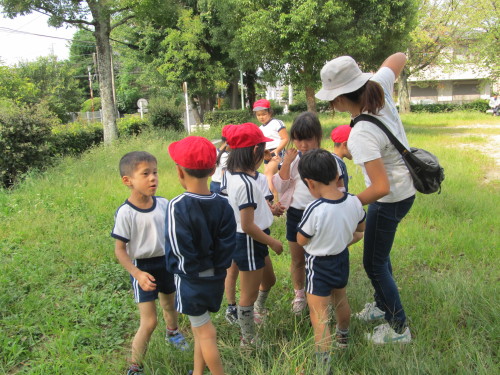 img0008.jpg