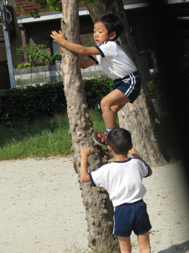 img0010.jpg