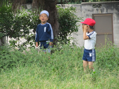 img0029.jpg