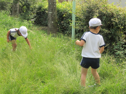 img0030.jpg