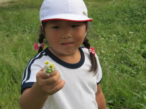 img0031.jpg