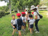 img0008.jpg