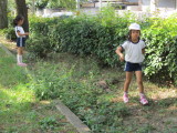 img0009.jpg