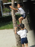 img0010.jpg
