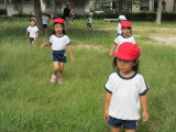img0032.jpg