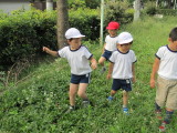 img0035.jpg