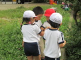 img0036.jpg