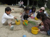 img0016.jpg