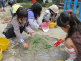 img0017.jpg