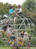 img0031.jpg