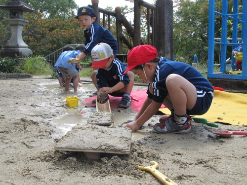 img0007.jpg