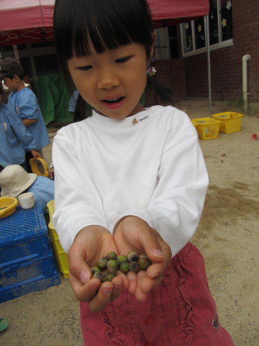 img0058.jpg