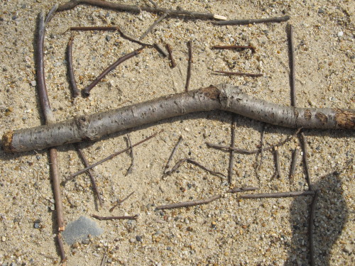 img0074.jpg