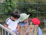 img0000.jpg