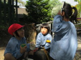 img0003.jpg