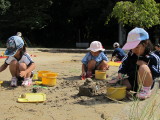 img0005.jpg