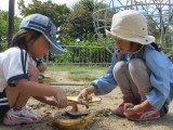 img0009.jpg