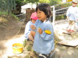img0010.jpg