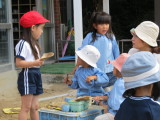img0012.jpg