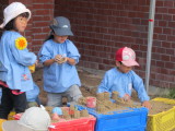 img0014.jpg