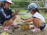 img0016.jpg